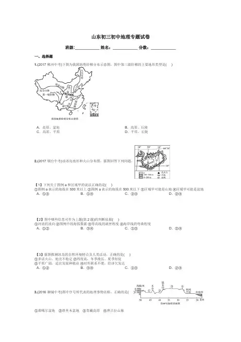 山东初三初中地理专题试卷带答案解析
