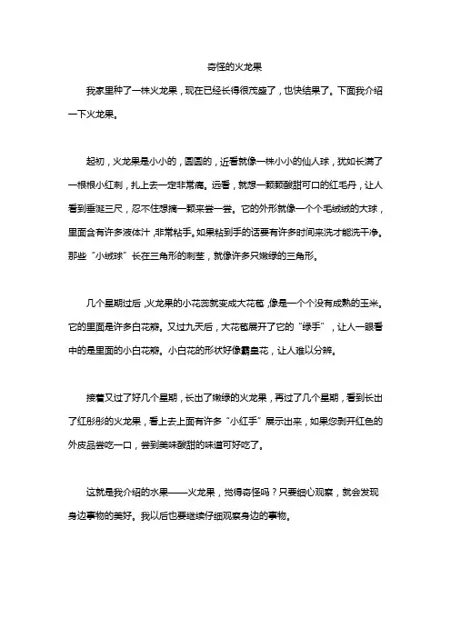 奇怪的火龙果
