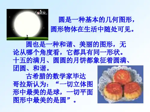 2411圆的概念-45f71a7fa361