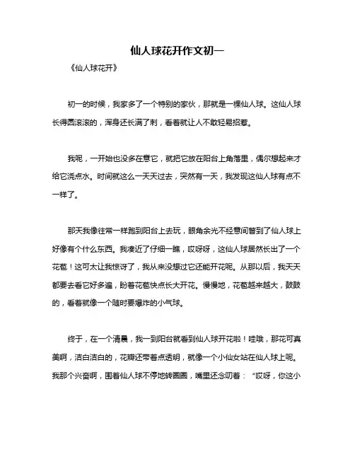 仙人球花开作文初一