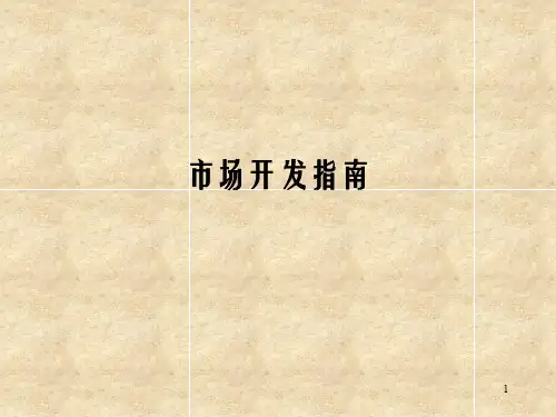 市场开发指南ppt课件