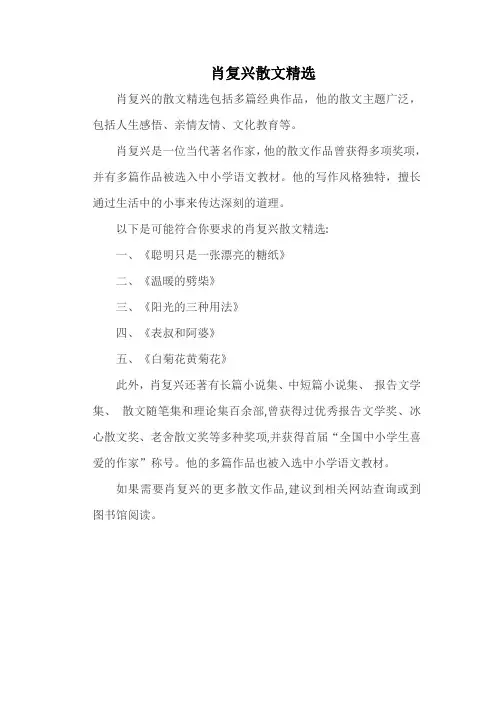 肖复兴散文精选