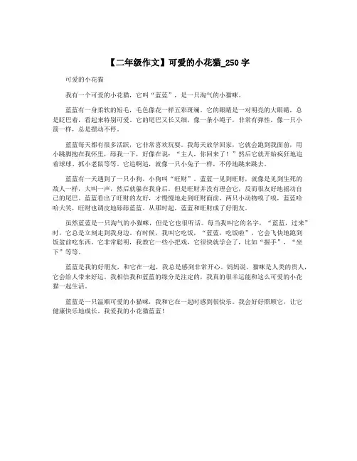 【二年级作文】可爱的小花猫_250字