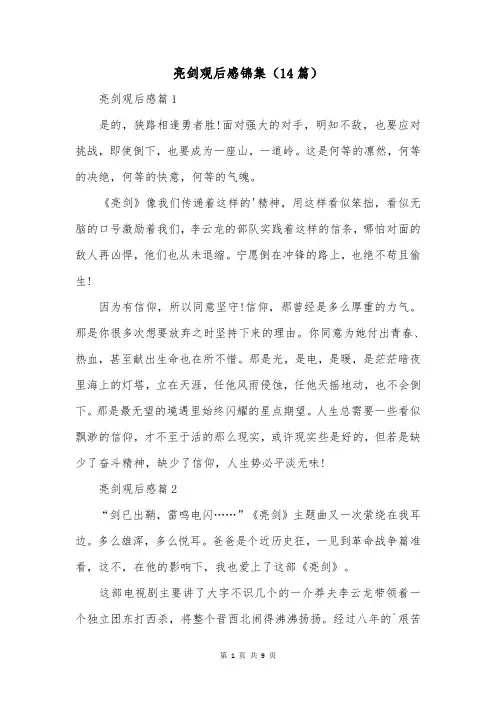 亮剑观后感锦集(14篇)