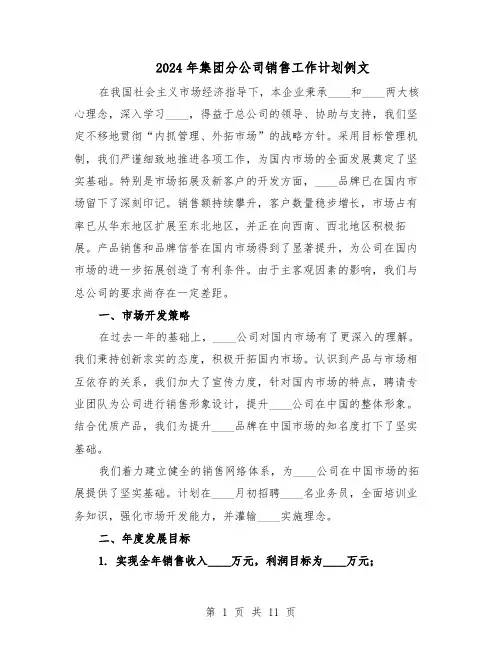 2024年集团分公司销售工作计划例文（五篇）