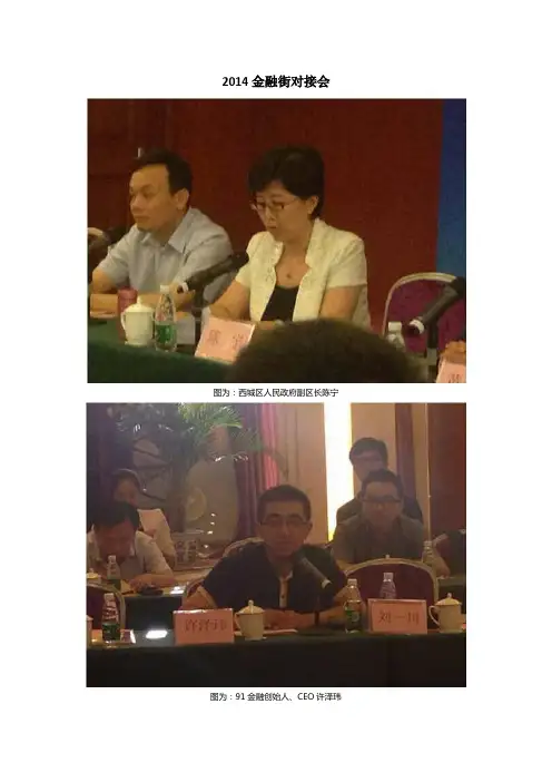 91金融CEO许泽玮出席2014金融街对接会并发表演讲