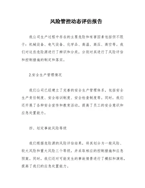 风险管控动态评估报告