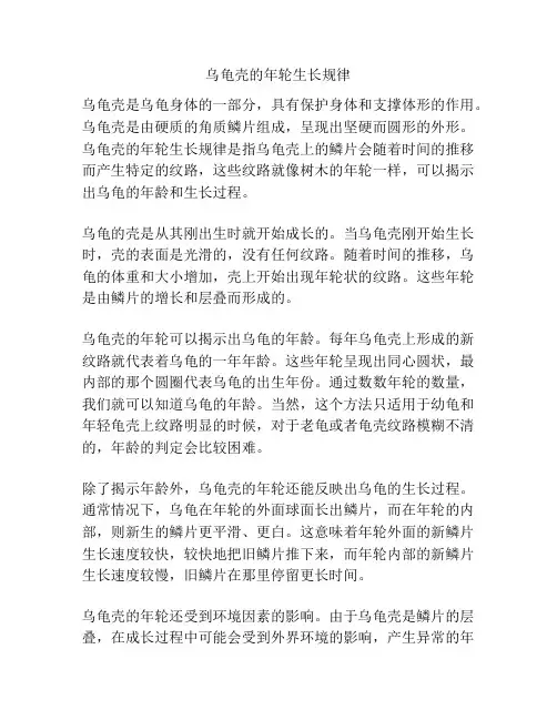 乌龟壳的年轮生长规律