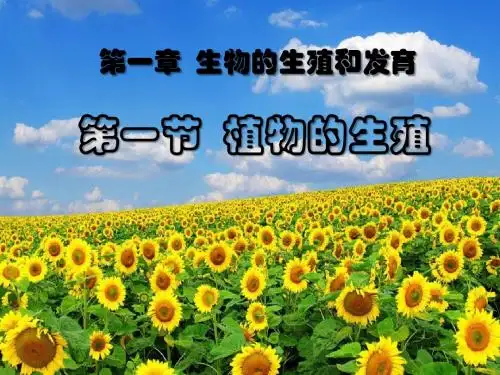 八年级生物下册_第7单元第1章第1节植物的生殖课件_人教新课标版