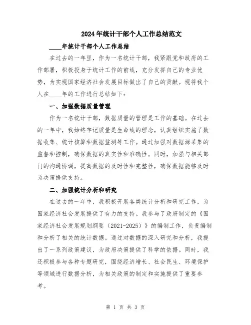 2024年统计干部个人工作总结范文