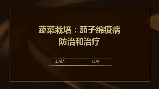 蔬菜栽培：茄子绵疫病防治和治疗