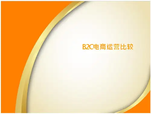 《B2C电商平台运营对比》