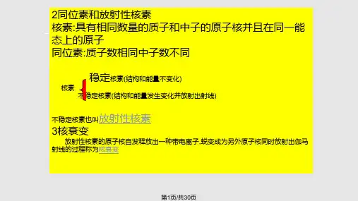 自然伽马测井PPT课件