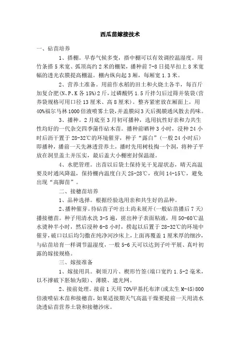 西瓜苗嫁接技术