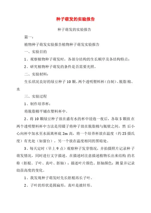 种子萌发的试验报告