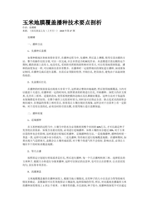 玉米地膜覆盖播种技术要点剖析