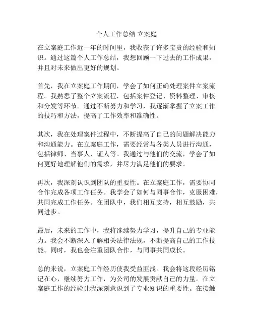 个人工作总结 立案庭