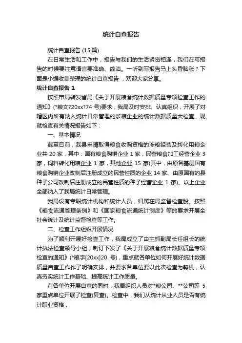 统计自查报告（15篇）