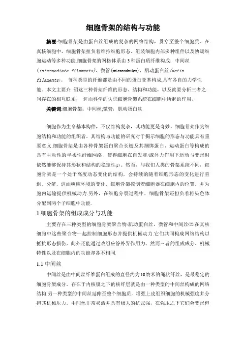 细胞骨架的结构与功能
