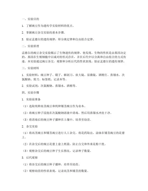 豌豆杂交实验报告