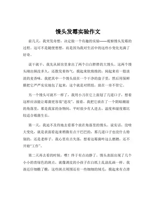 馒头发霉实验作文