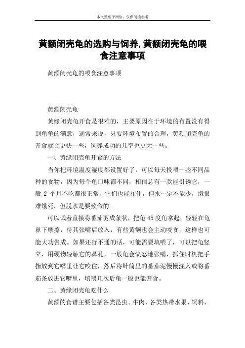 黄额闭壳龟的选购与饲养,黄额闭壳龟的喂食注意事项