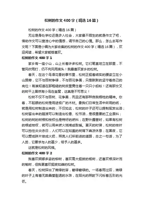 松树的作文400字（精选16篇）