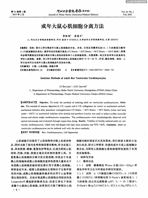成年大鼠心肌细胞分离方法