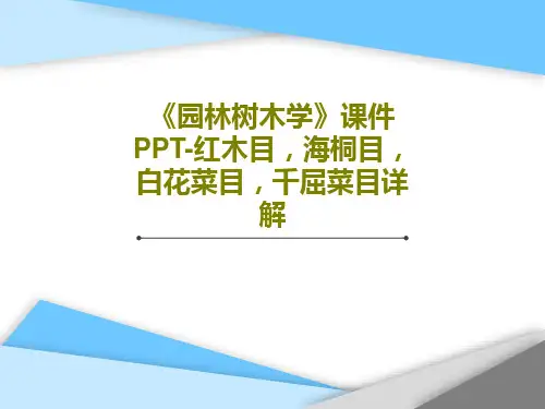 《园林树木学》课件PPT-红木目,海桐目,白花菜目,千屈菜目详解共86页