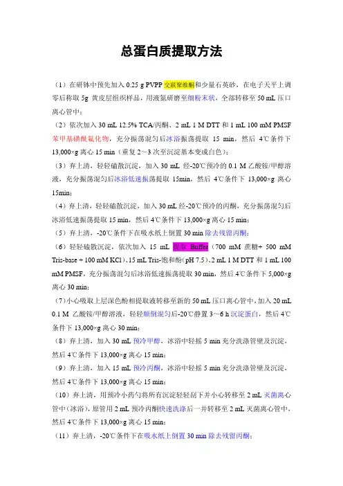 总蛋白质提取方法