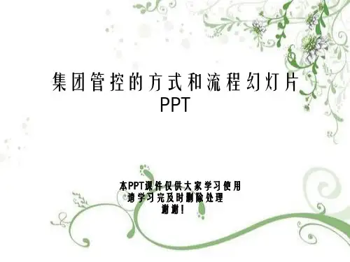 集团管控的方式和流程幻灯片PPT