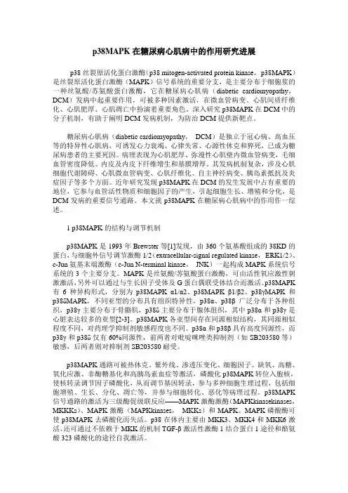 p38MAPK在糖尿病心肌病中的作用研究进展