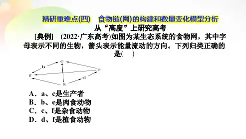 专题7 生物与环境 精研重难点(4) 食物链(网)的构建和数量变化模型分析