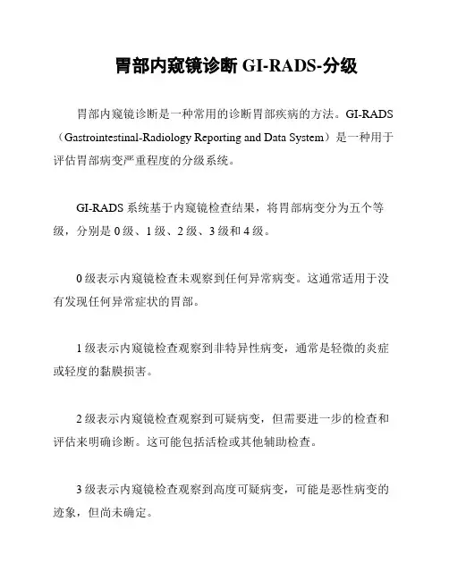 胃部内窥镜诊断GI-RADS-分级