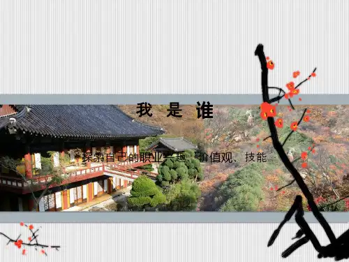 探索自我价值观和技能
