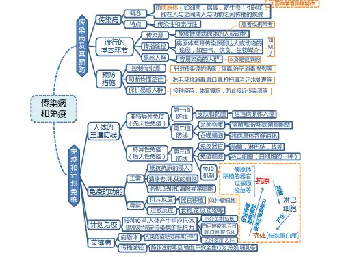 人教版初中生物八年级下册思维导图-传染病和免疫
