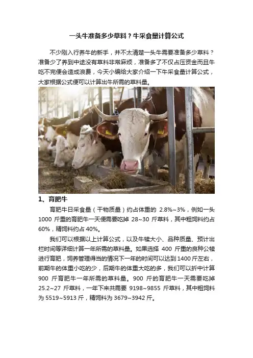 一头牛准备多少草料？牛采食量计算公式