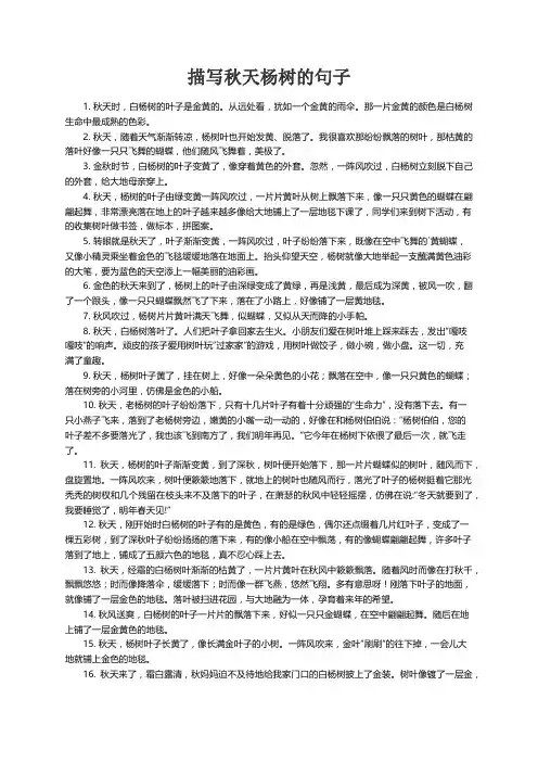 描写秋天杨树的句子精选