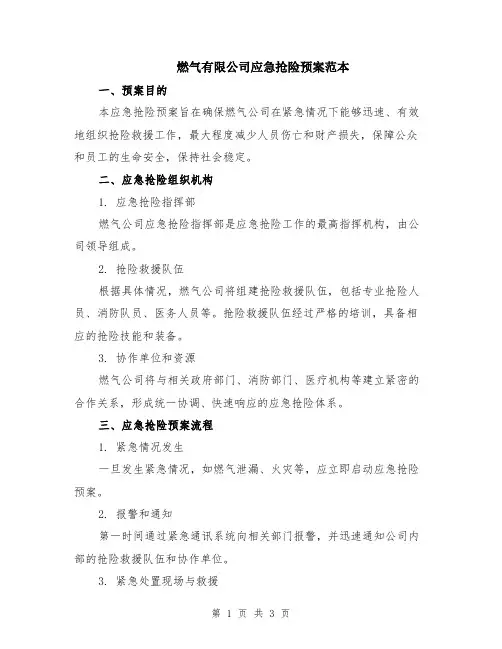 燃气有限公司应急抢险预案范本