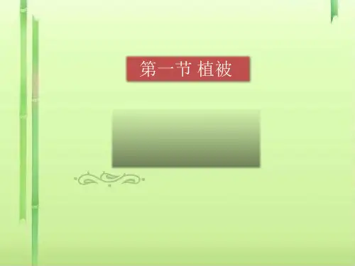 人教版(2019)高一 地理 上册 第五章第一节 植被(共24张PPT)