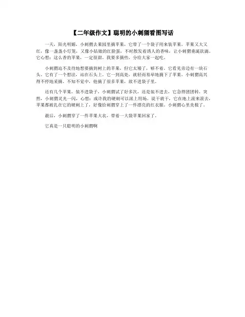 【二年级作文】聪明的小刺猬看图写话