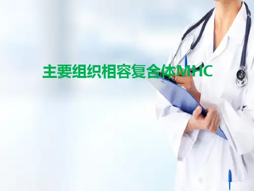 主要组织相容性复合体(病原生物学与免疫学课件)