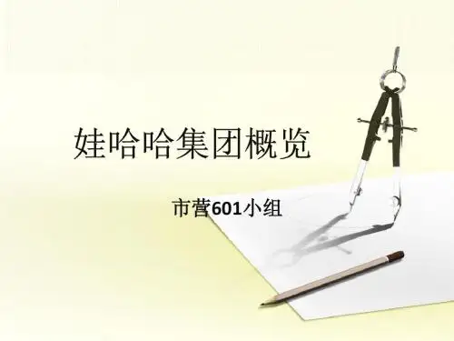 娃哈哈集团概览--顺子
