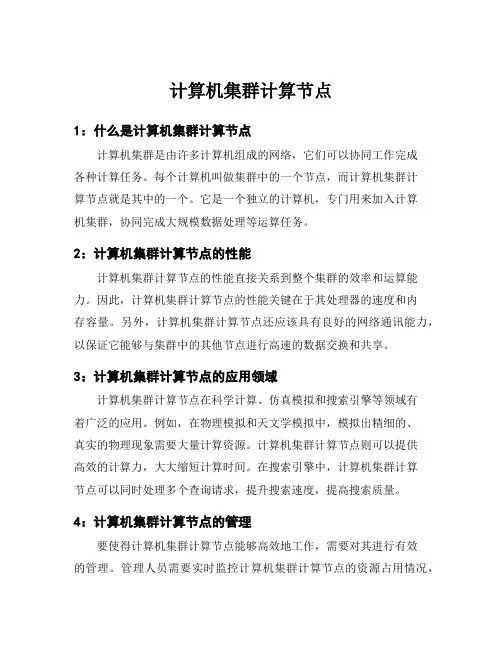 计算机集群计算节点