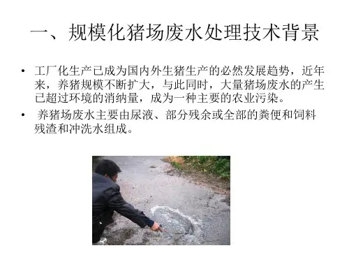 养猪废水 PPT课件