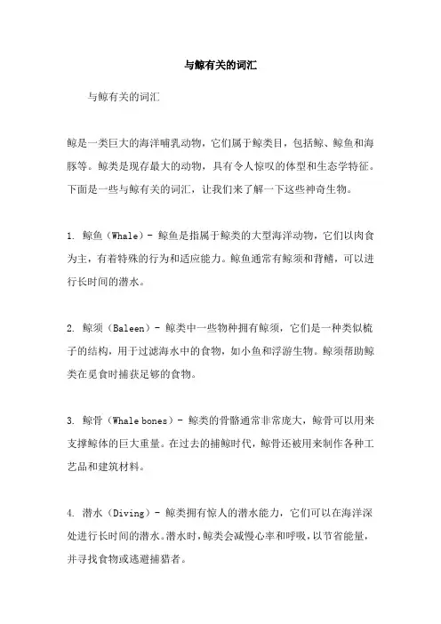 与鲸有关的词汇