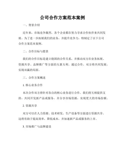 公司合作方案范本案例