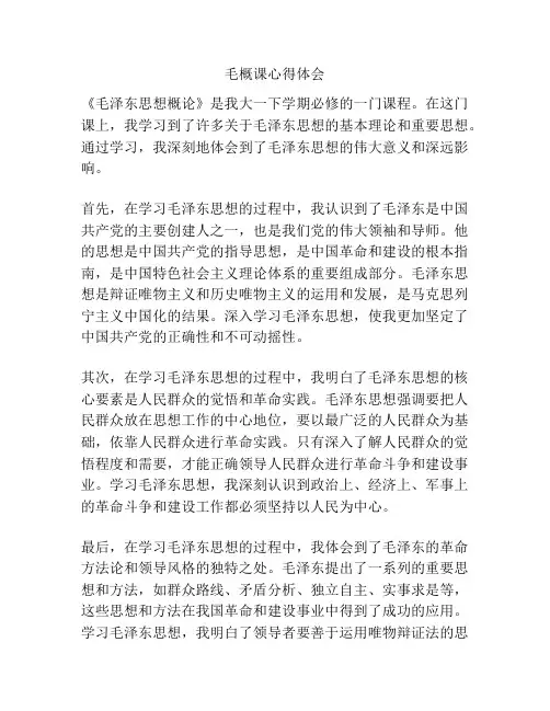 毛概课心得体会