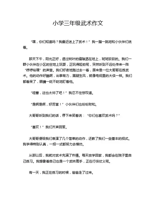 小学三年级武术作文