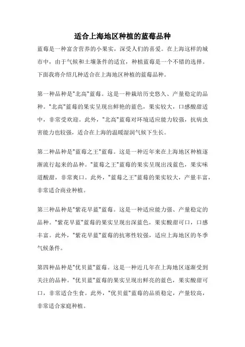适合上海地区种植的蓝莓品种